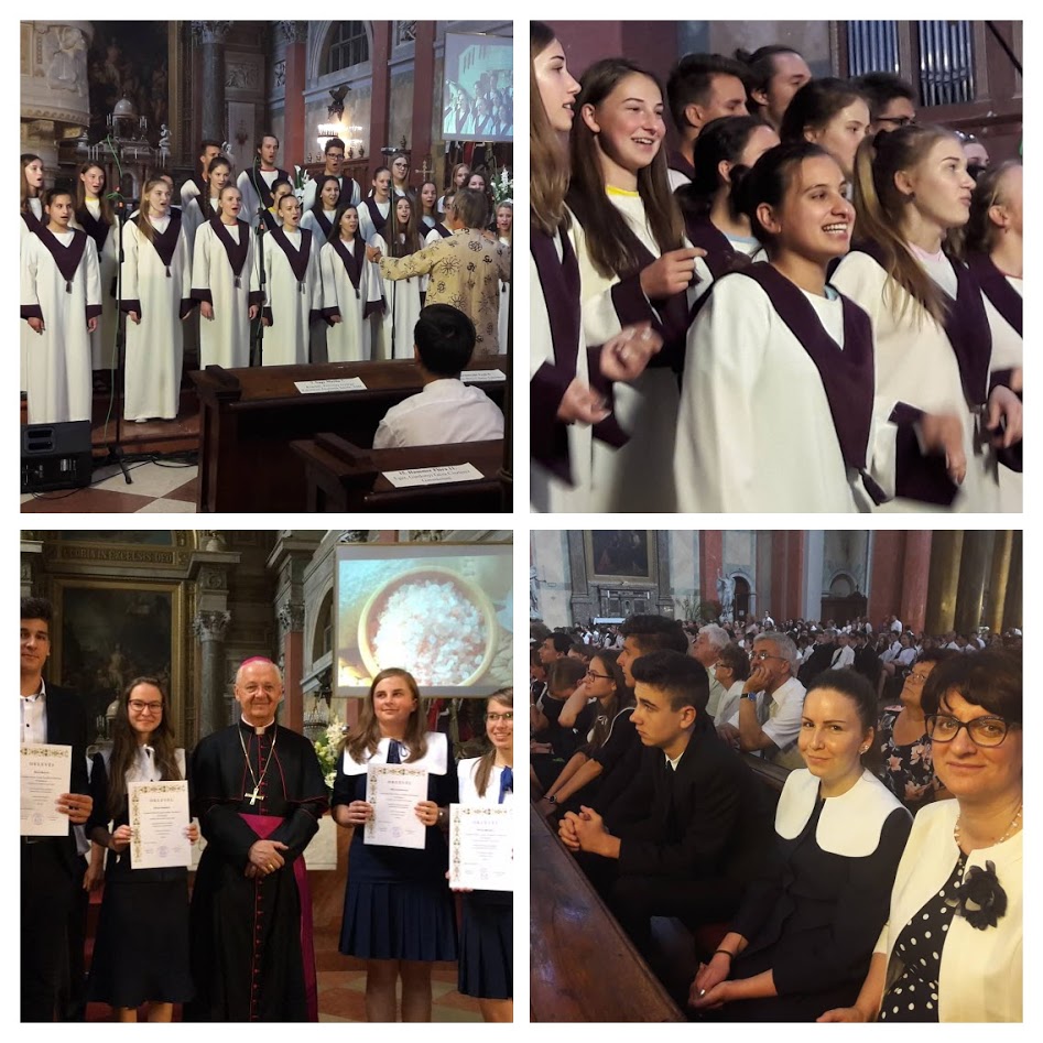 34811895 1523590254460127 7878323090181062656 n COLLAGE