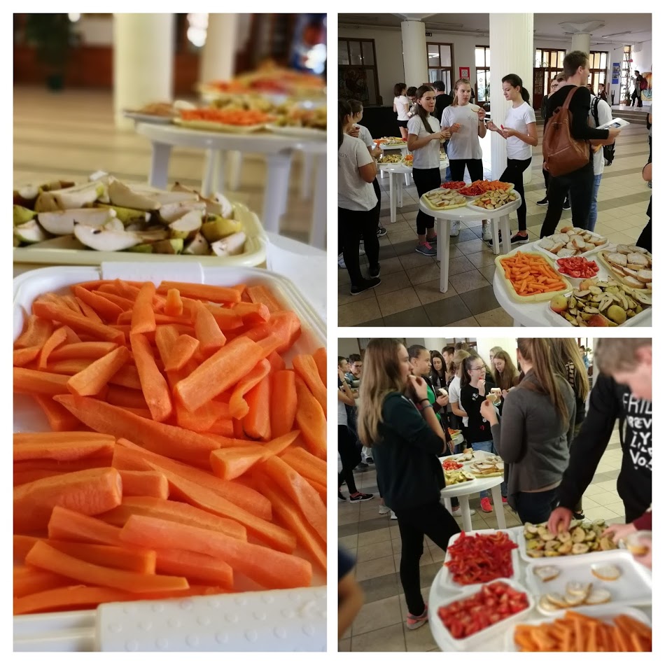 IMG 20170926 091442 COLLAGE