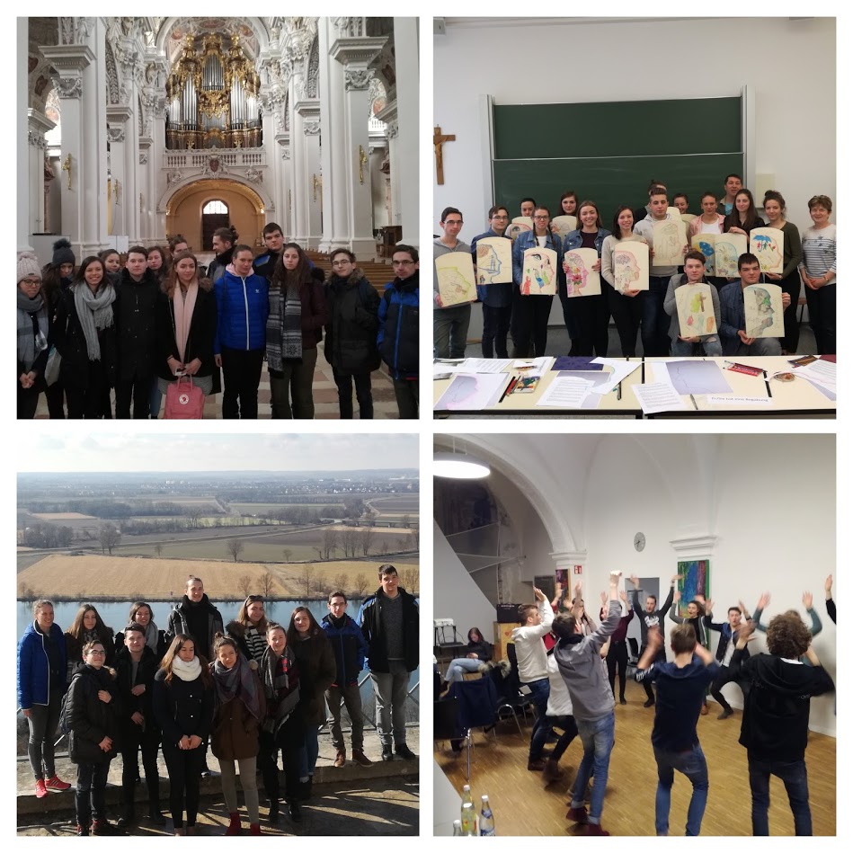 IMG 20180307 105444 COLLAGE