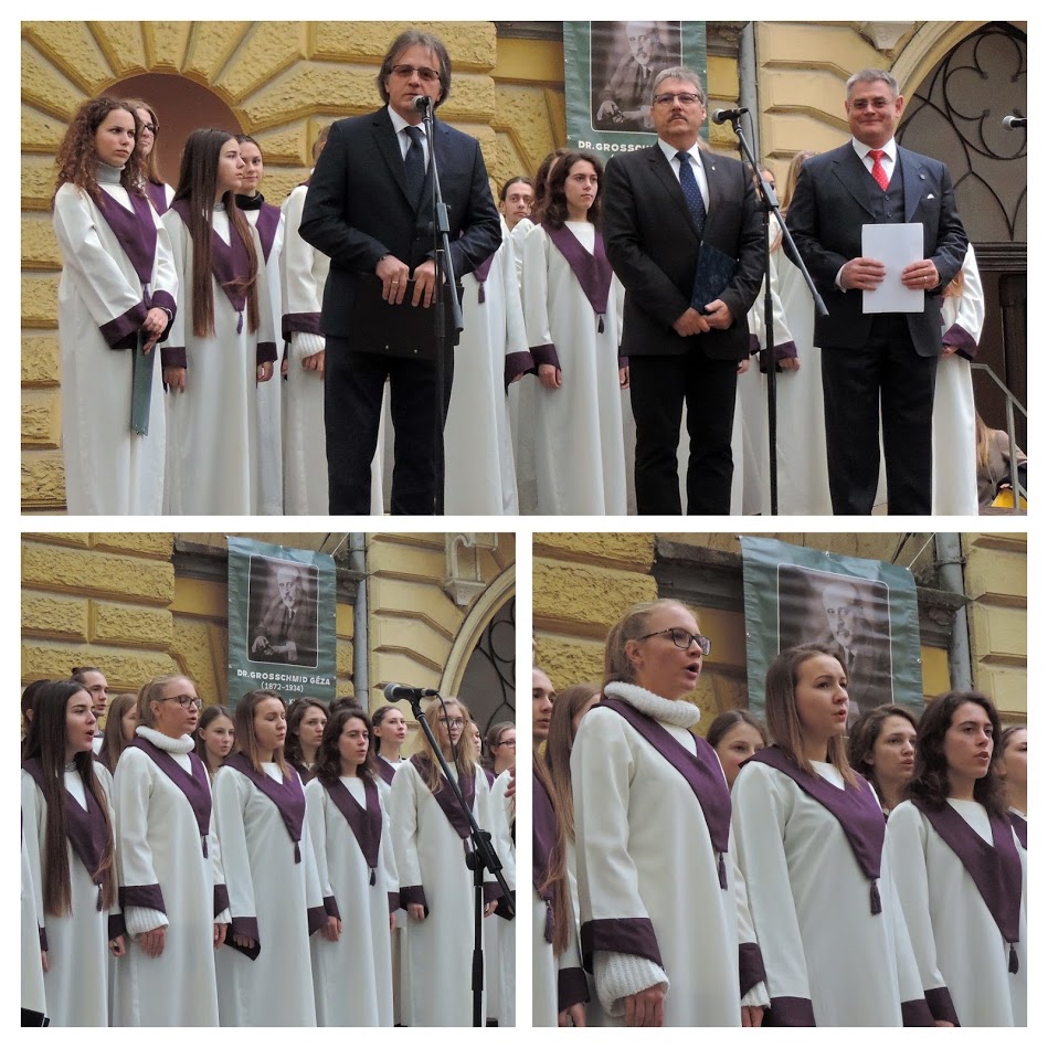 grosschmid geza emlektabla 11 COLLAGE