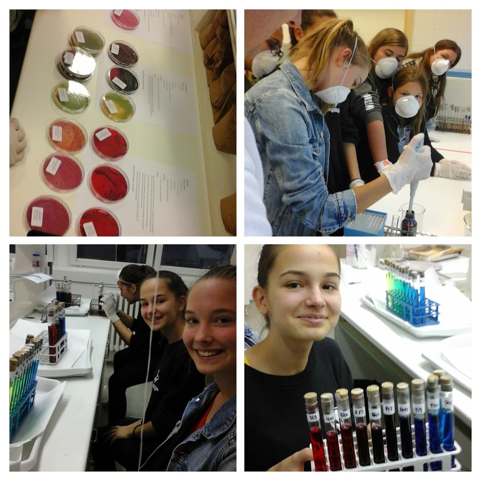 20180928 174813 COLLAGE