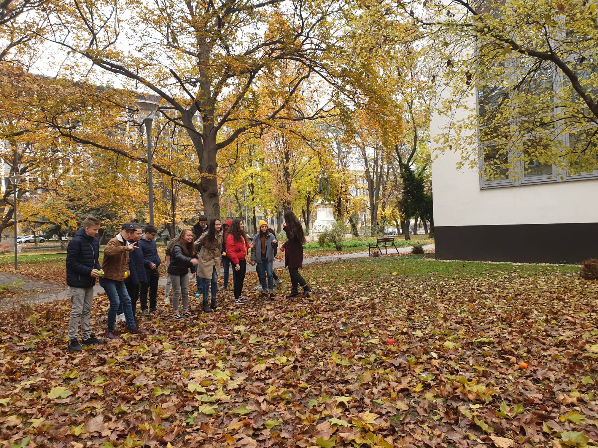 75603938 419199669025019 5586111821833568256 n