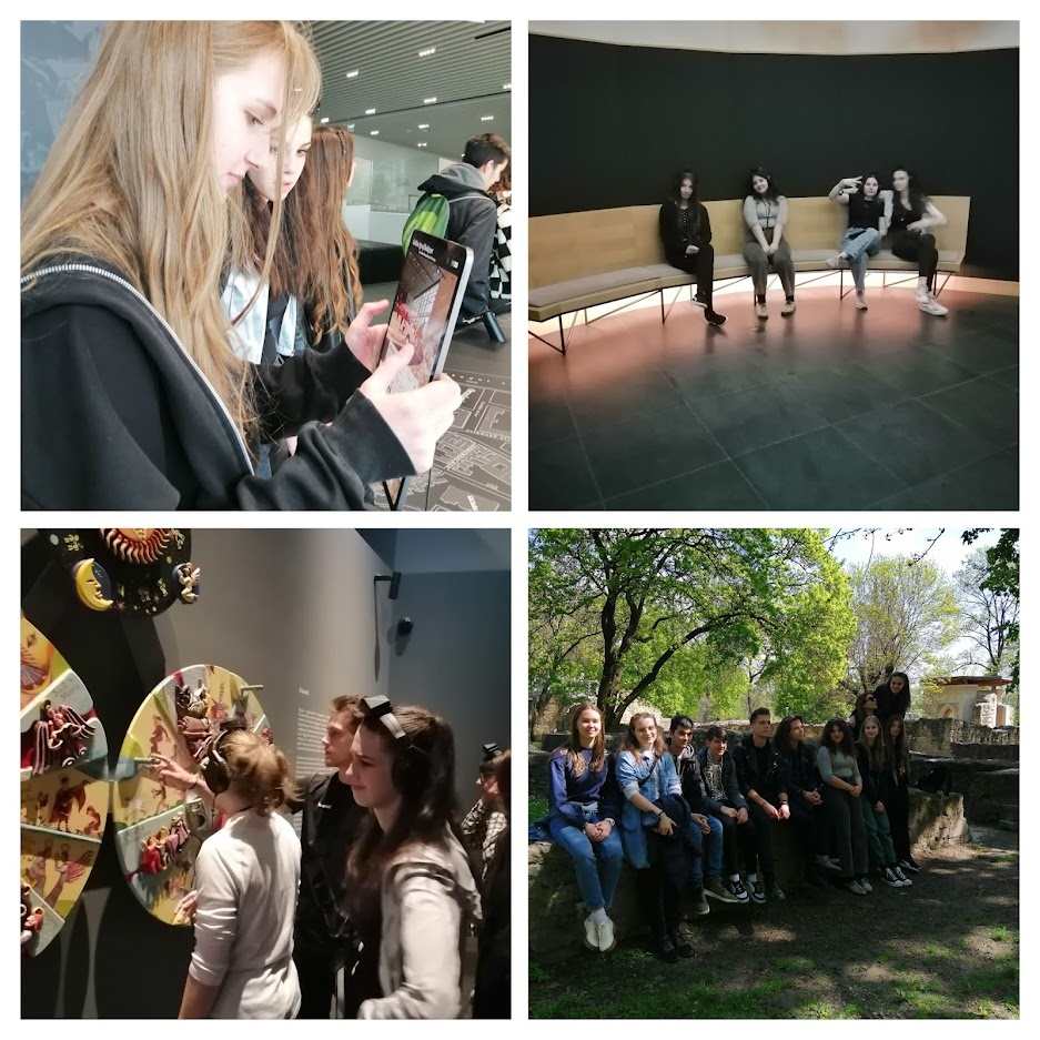 342364013 248461930898120 4611122357012258929 n COLLAGE